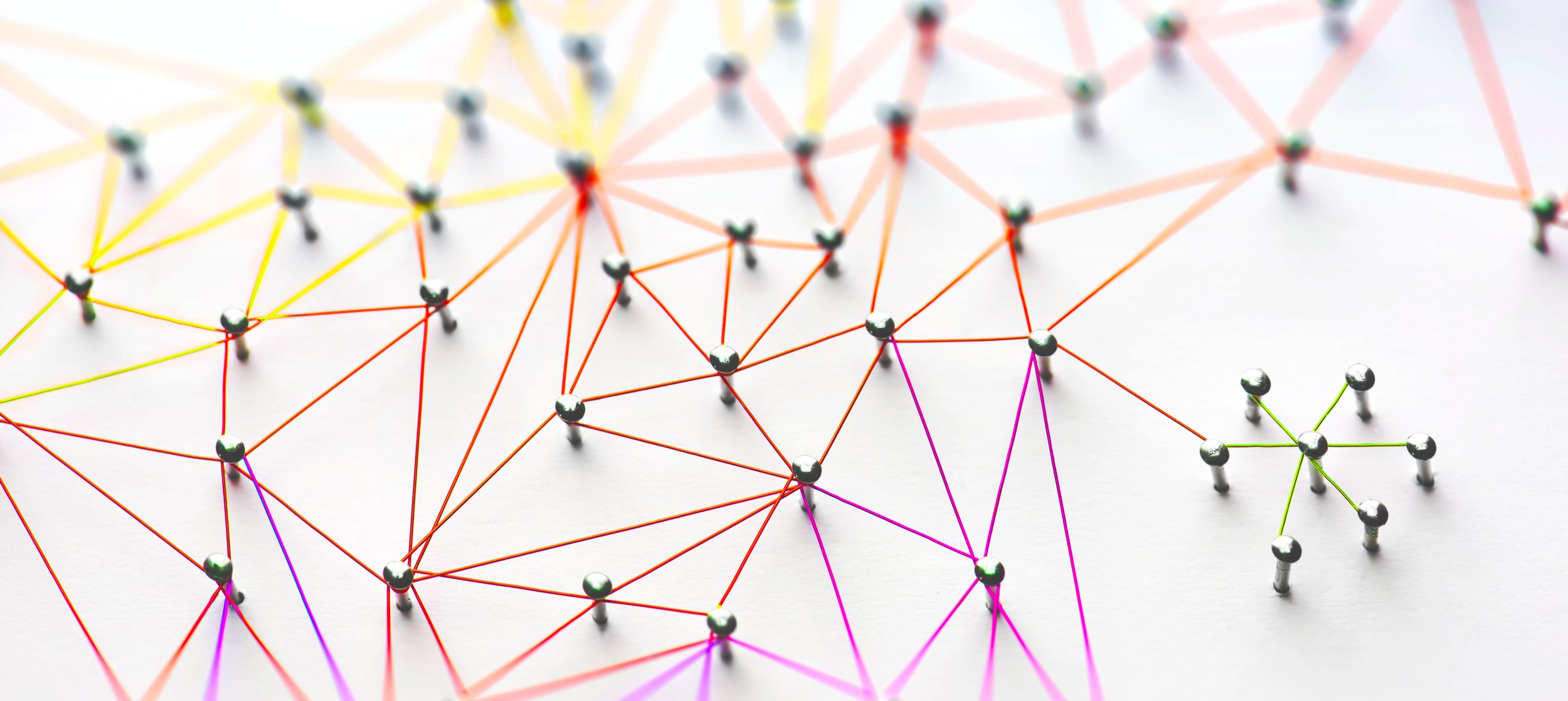 Networking: The Ultimate Power Skill